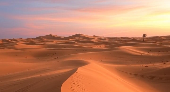 Sahara
